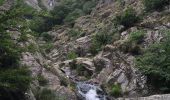 Trail Walking Riols - Sentier des légendes (1000 marches) par Langlade (Riols) - Photo 12