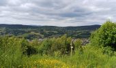 Tour Wandern Fraize - fraize - Photo 1