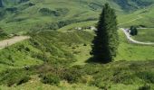 Tour Wandern Arrens-Marsous - col de soulor, lac de soum, col de bazes, col de soulor  - Photo 3