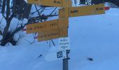 Randonnée Raquettes à neige Orsières - Champex Lac - La Breya - Champex Lac - Photo 11