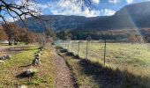 Trail Walking Plan-d'Aups-Sainte-Baume - Sainte Baume 8,5 km - Photo 17