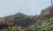 Tour Wandern Saint-Claude - Bains jaune - Photo 10