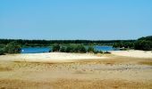 Trail Walking Lommel - Le Sahara de Lommel  - Photo 1