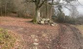 Tour Wandern Stoumont - La gleize 14 Km - Photo 9