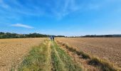 Trail Walking Gesves - Marche Adeps à Gesves 2024 - Photo 1