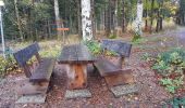 Tour Wandern St. Märgen - Cascade Zweribach depuis Sankt Märgen - Photo 12