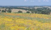 Tocht Stappen Montefiascone - CR_Francigena_DM_49_Montefiascone_Viterbe_20230602 - Photo 12