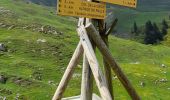 Trail Walking Tréminis - Sentier de la résistance en boucle - Photo 1