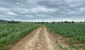 Tour Wandern Heuvelland - Nieuwekerke Bailleul 17,5 km - Photo 3