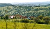 Tocht Te voet Ottweiler - Hartfüßlerweg Nordschleife - Photo 4