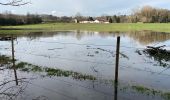 Tocht Stappen Overijse - Tour Genval Rixensart 4/2/21 - Photo 12