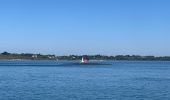 Tocht Stappen Unknown - Tour du golfe du Morbihan  - Photo 18