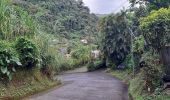 Tocht Stappen Le Marigot - Boucle Château Lagrange - Photo 13