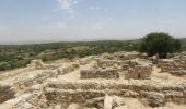 Tour Zu Fuß Regionalverwaltung Mateh Jehuda - חורבת מדרס - מצפה משואה - Photo 3