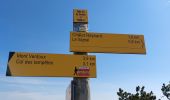 Percorso Marcia Brantes - Ventoux Signal  - Photo 3