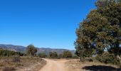 Trail Walking Aniane - grotte des reliques, montcalmes - Photo 15