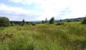 Tour Wandern Malmedy - extra trail Malmedy  - Photo 4