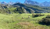 Tocht Stappen Cangas de Onís - Covadonga tour des lacs  - Photo 4