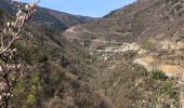 Trail Walking Thuès-Entre-Valls - 20230412 Thues-Tunel-Mas Al Barret -gorges Carança  - Photo 4