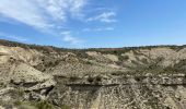 Trail Horseback riding Arguedas - Bardenas jour 7 - Photo 6