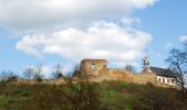 Excursión A pie Neu-Bamberg - Hiwweltour Heideblick - Photo 4