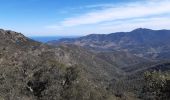 Trail Walking Collioure - MADELOC depuis col de la serra, via col formigo,  batterie 500, madeloc, col tellaferra  - Photo 9