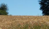 Tour Wandern Scey-Maisières - Scey en Varais Ravin de Valbois - Photo 15