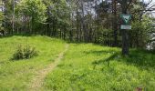 Trail On foot Urbach - Urbacher Wanderweg 9 - Photo 5