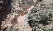 Trail Walking Bagnols-en-Forêt - Les gorges du Blavet casteldiaou - Photo 1