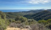 Trail Walking Roquebrune-sur-Argens - Col du Bougnon : la Garonnette - Photo 6