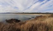 Tocht Stappen Crozon - L'Aber à la plage de Trez Bellec - Photo 1