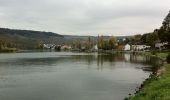 Randonnée A pied Grevenmacher - FB Grevenmacher I - Photo 5