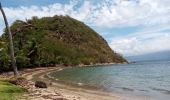 Tour Wandern Terre-de-Haut - Les Saintes - J2 - Photo 4