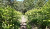 Trail Walking Spa - grand tour de la fagne de malchamps - Photo 3