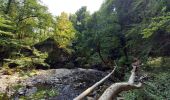 Randonnée Marche Vic-sur-Cère - Pas de Cère- cascade de Gourdole - Photo 9