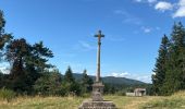 Tocht Stappen Cayres - Grand tour du Lac du Bouchet - Photo 1