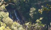 Tour Wandern Menétrux-en-Joux - Ménétrux-en-Joux - cascades Evantail et Hérisson - Saut de la Forge - La Fromagerie - Photo 10