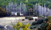 Randonnée Marche Sillans-la-Cascade - Traversée Sillans - Cascade - Chemin du train des pignes - Ruines chateau Salernes -  Piscine Salerne - Bord de rivière - Chapelle St Laurent - Photo 11