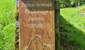 Trail Walking Metzeral - Sentier historique - Mittlach - Fischboedle - Photo 10