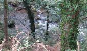 Tour Wandern Verrières - DOLMEN ET CASCADE DE SAILLANT DEPUIS VERRIERES - Photo 3