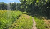 Randonnée Marche Nouzilly - Nouzilly - Circuit des Orchidées  - Photo 2