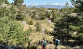 Trail Walking Bézaudun-les-Alpes -  Bezaudun : Mont Estellier - Photo 17