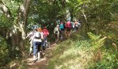 Trail Walking Paimpol - kergrist Le Trieux 7 septembre 2020 - Photo 9