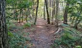 Tocht Stappen Fontainebleau - Sentier Denecourt 3 - Photo 20