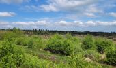 Trail Walking Vielsalm - rando ornitho fagnes de sacrawé petite taille 20-05-20023 - Photo 15