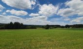 Tocht Stappen La Roche-en-Ardenne - rando warempage 13/07/2020 - Photo 5