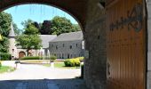 Tour Wandern Aywaille - Balade aux coquelicots digitales et fraises des bois à partir du château de Harzé - Photo 1