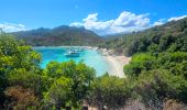 Excursión Senderismo Saint-Florent - De la plage de l'Ospédale  à la plage de Lotu Saint Florent Haute Corse - Photo 15