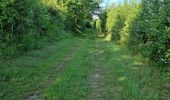Trail Walking Naveil - Circuit au lieu-dit Bordebeure Marcilly-en-Beauce - Photo 5