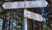 Trail On foot Oberharmersbach - Harmersbacher Vesperweg - Photo 5